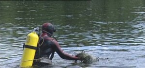 На крымском побережье нашли труп аквалангиста, который пропал 2 месяца назад