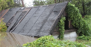 Запорожцы написали письмо Сталину