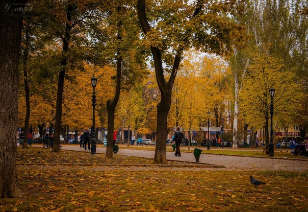 В выходные в Одессе будет тепло и дождливо. Фото - Юлия Шипилова.