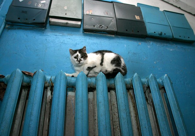 По всей Одессе уже тепло. Фото с сайта: gazetairkutsk.ru.