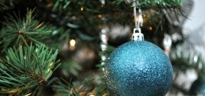 Сколько будут стоить новогодние елки в Донецке?