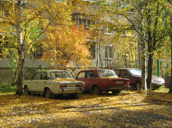 Осенние пейзажи – прекрасный источник вдохновения. Ловите момент! Фото:f5.ru.