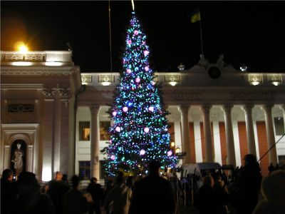 Главная елка Одессы будет готова к 19 декабря. Фото - odessa-life.od.ua