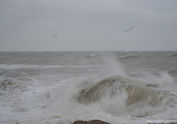Вчера Черное море было неспокойным.
Фото - zeezv.livejournal.com