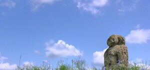 Кусок земли между Донбасс Ареной и Кальмиусом превратят в этно-парк