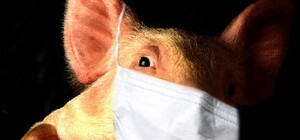 В Киеве зарегистрировали первый случай заболевания 