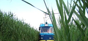 Перестал ходить одесский 