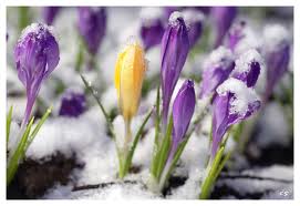 Весна в этом году будет поздней. Фото - liveinternet.ru