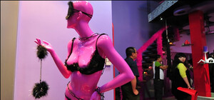 Азарову не понравился секс-шоп на Печерске