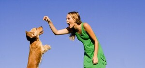 Куда отдать собаку на дрессировку в Симферополе