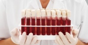 На Зоологической построят новый Центр крови