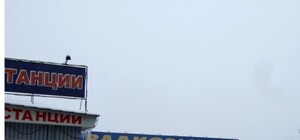 Радиорынок 