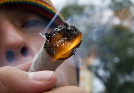 В Одессе студент приторговывал марихуаной. Фото - gazeta.ru