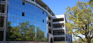 К матчу Украина-Молдова в одесском парке высадят тысячу деревьев и цветов