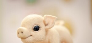 Запорожцев очаровали милые пушистики