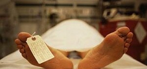 Трупами, оставленными на клумбе в Севастополе, заинтересовалась прокуратура