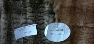 Экологи грозятся сорвать туристический сезон в Крыму