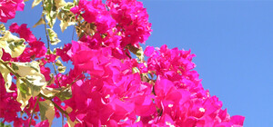 Синоптики рассказали, какая погода будет в Одессе на майские