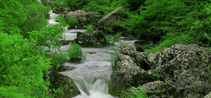 Чернореченский каньон Крыма: уголок дикой природы недалеко от Севастополя