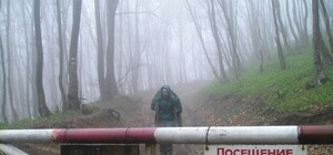 Киевлян могут не пускать в парки и леса до осени