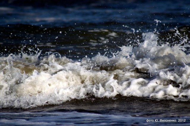 Вода в море пока что прохладная. Фото - Юрий Филоненко 