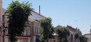 Старый центр Луганска назвали солянкой