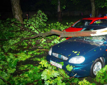Одессе компенсируют ущерб от урагана.
Фото - podrobnosti.ua