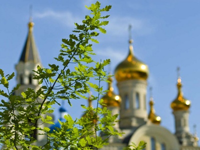 В храме освящают цветы, колоски и ветви деревьев. Фото:vlg-media.ru