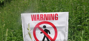 Крым очистят от пестицидов