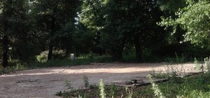 Булыжники, окурки и бурьян – бывший парк 