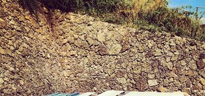 Ежедневный обзор соцсетей: чудо в парке Победы, воспитание туристов и транспортный коллапс