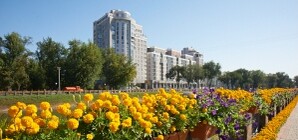 В Харькове поставят 