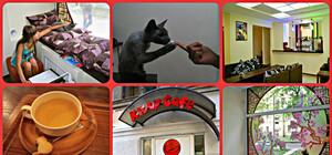 Тест Vgorode : в Харькове открылось первое в Украине 