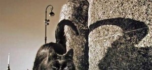 Харьковчане  не верят в суеверия, и считают пятницу тринадцатое удачным днем