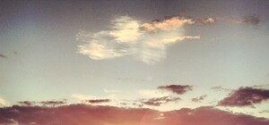 Что обсуждают в соцсетях: тонущая в парке Победы невеста и поиски клада у Потемкинской