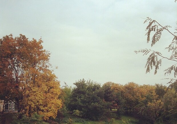 В городе осень. Фото: marianna_nader.