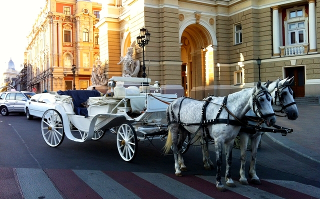 Лошадки и не догадывались кого возили. Фото с сайта: photo.online.ua.