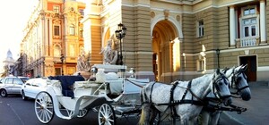 В Одессе осудили кучера-сводника, который возил в карете проституток клиентам