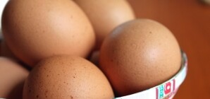 Антимонопольный комитет vs цены на яйца: подешевеют ли?
