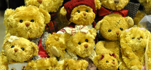 Красивый фоторепортаж: что происходило на фестивале плюшевых мишек 