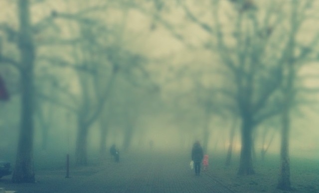 Одессу снова накроет туман.
Фото - gansules