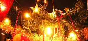 Прогулки с динозаврами, Новый год с Машей и Медведем – где отдохнуть 2 января