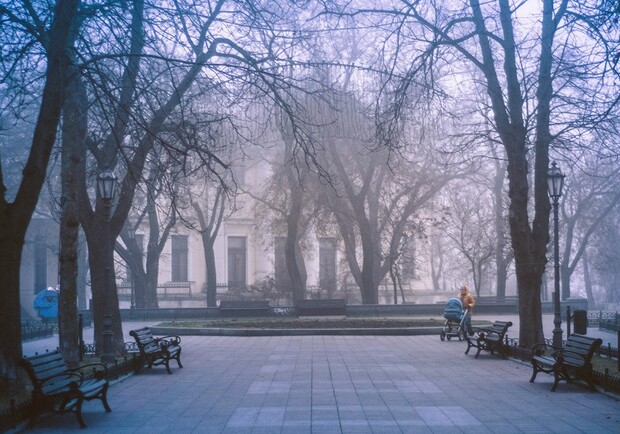 В Одессе все еще не по-зимнему тепло.
Фото - Наталья Панкова