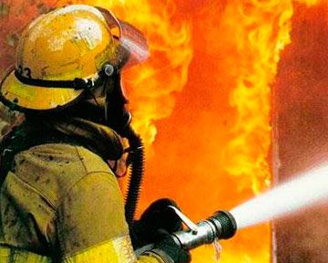 Пожарным удалось спасти 3 жизни.
Фото - podrobnosti.ua