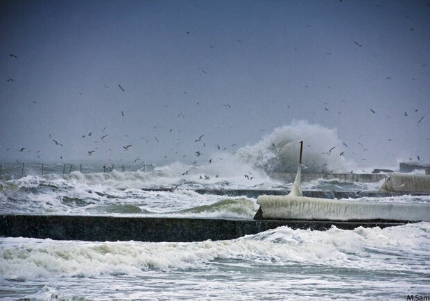 На море шторм. Фото - Максим Самолюк