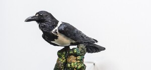 Карта выходных в Киеве: идем на романтичный фестиваль, дегустируем глинтвейн, любуемся фиалками и картинами из крыльев жуков