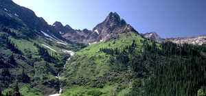 Подарки от запада: дончанам предлагают бесплатно отдохнуть в Карпатах