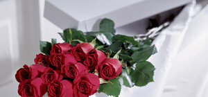 Подарки на Международный женский день 8 марта: идеи для праздника