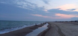 О чем пишут в соцсетях: Гончаренко в захваченном сепаратистами Донбассе, троллинг от Чубакки и противотанковые ежи на пляже