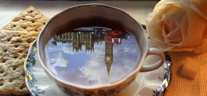 Рок, панк, фотки и английская болтовня - куда пойти на выходных в Луганске